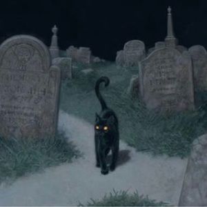 Meet your Posher, Carlee